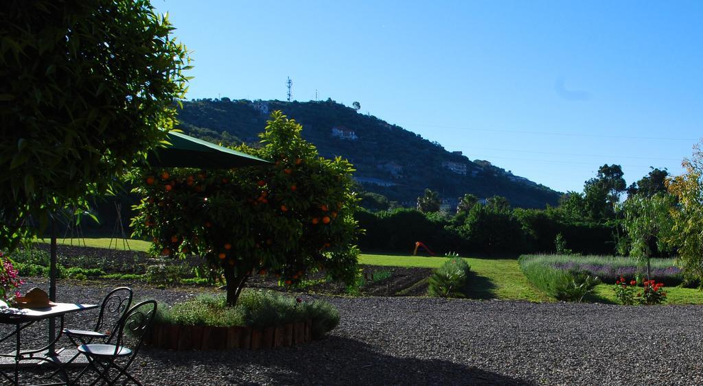 فيلا Torrazza في Agriturismo Coppi Rossi المظهر الخارجي الصورة